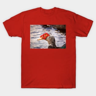 Muscovy Duck T-Shirt